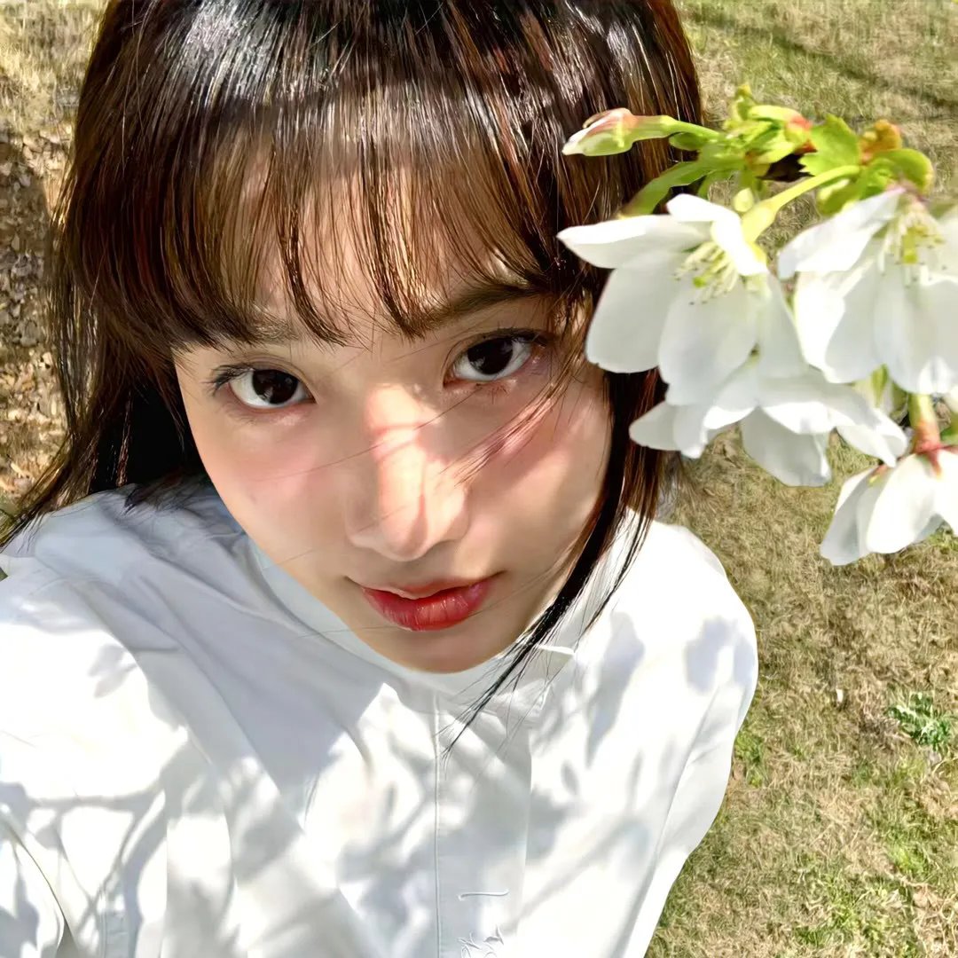 密电风云