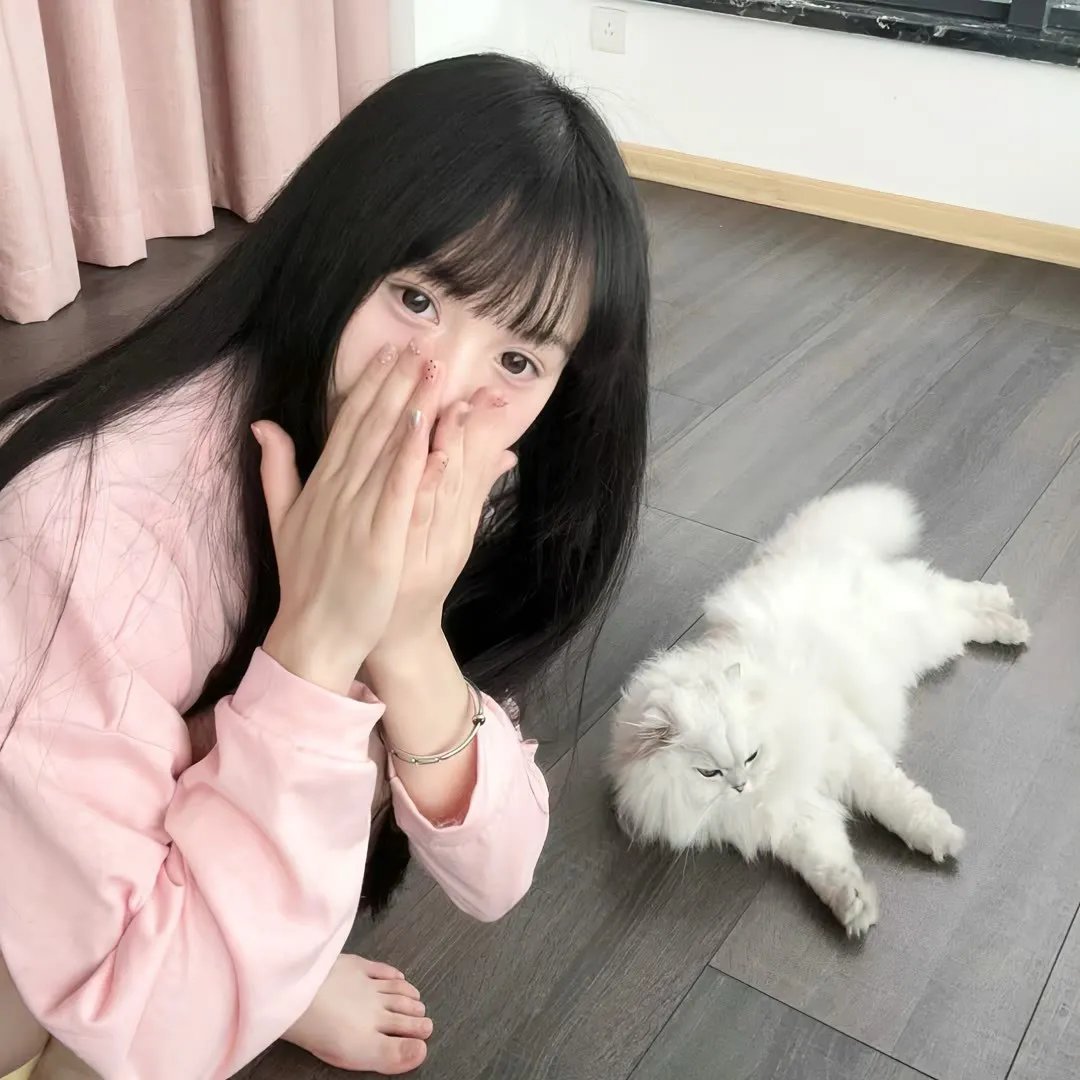 金装律师:洛杉矶